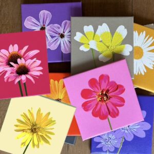 Seizoensaanbod 8 mini bloemen naar keuze